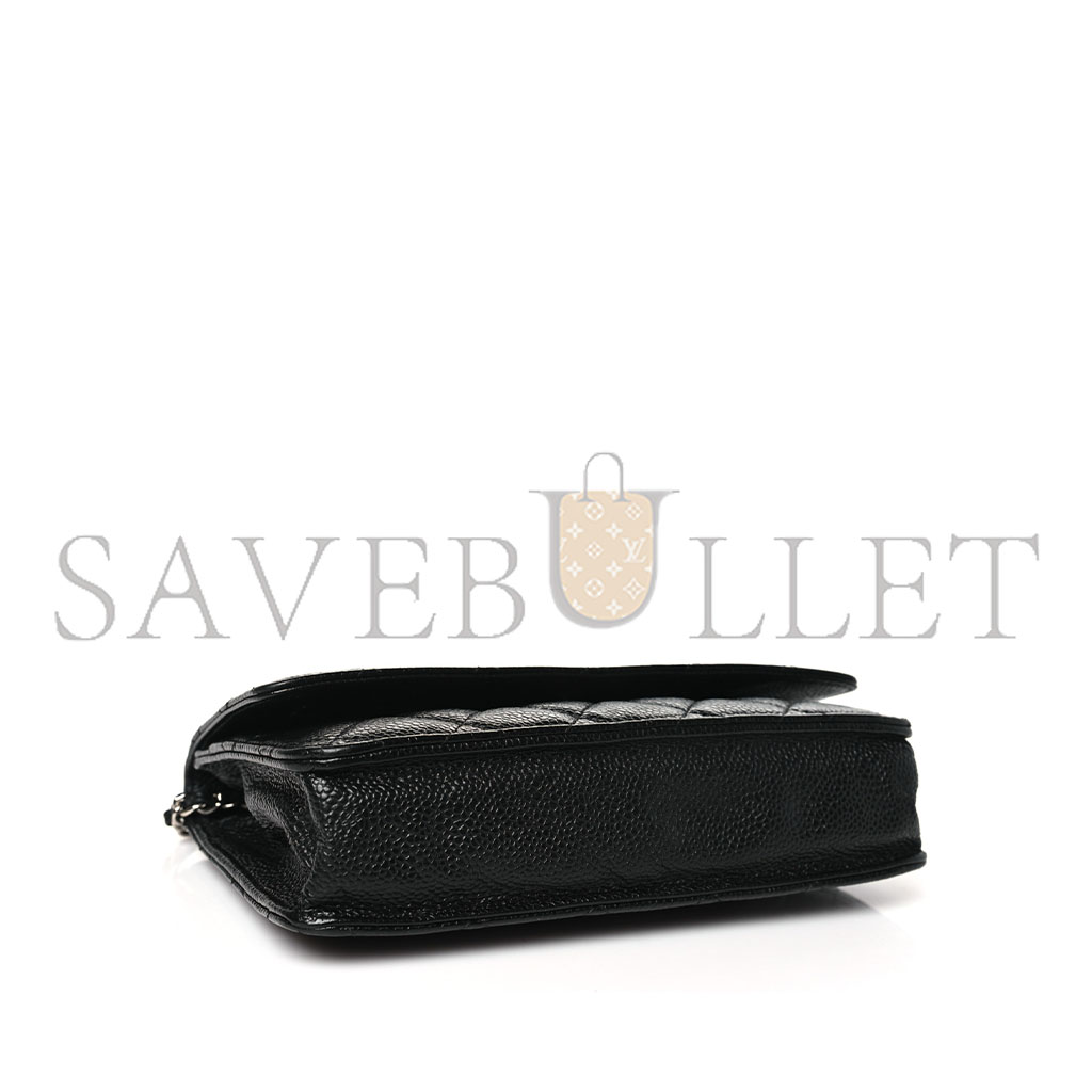 Ch*el classic wallet on chain silver hardware ap0250 y01480 c3906 （19.2*12.3*3.5cm）